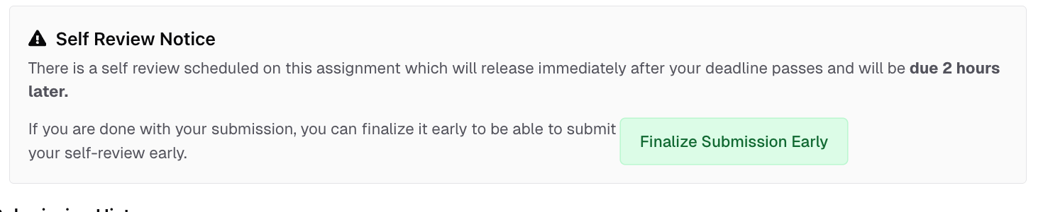 Assignment page showing self-review deadline