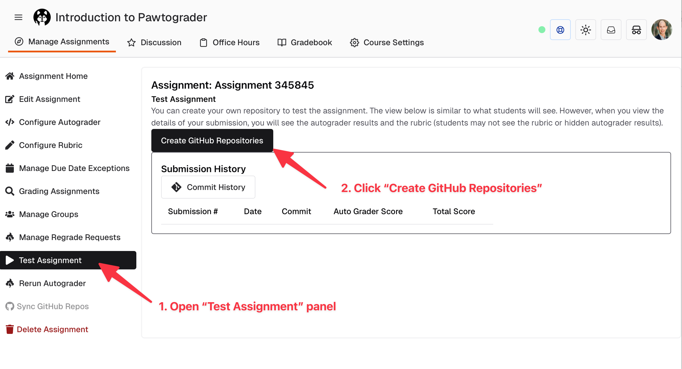 Test Assignment button on the assignment page