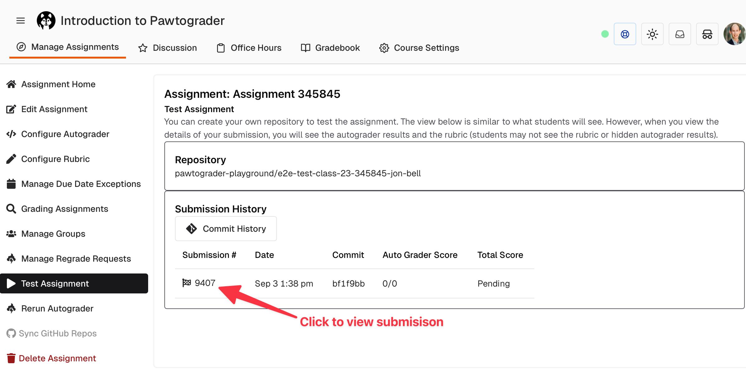 Link to view the test submission