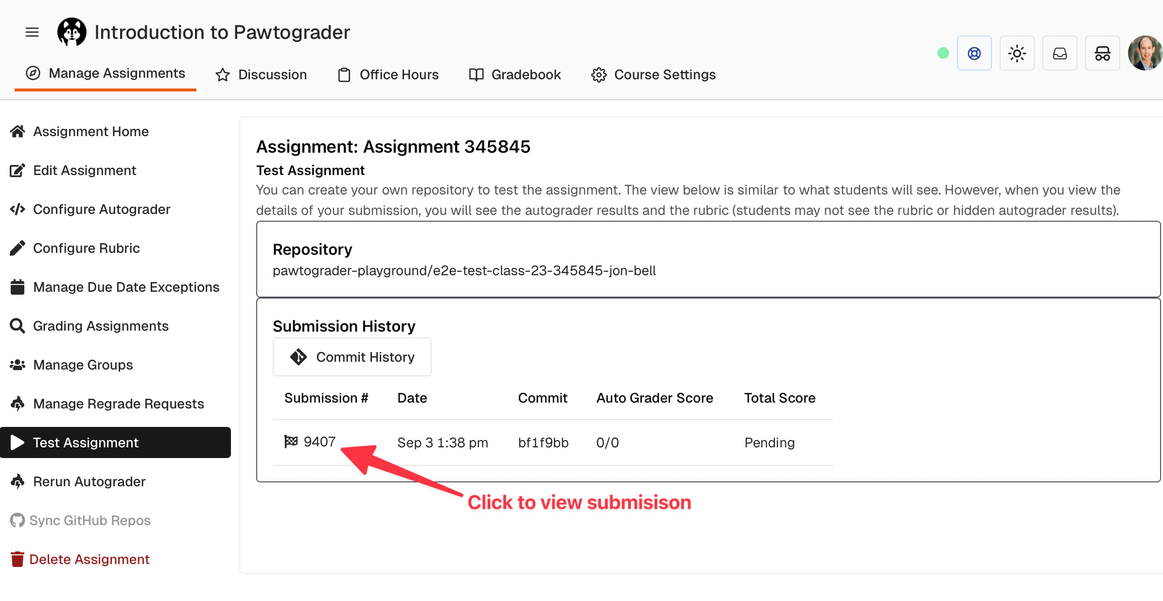 Link to view the test submission