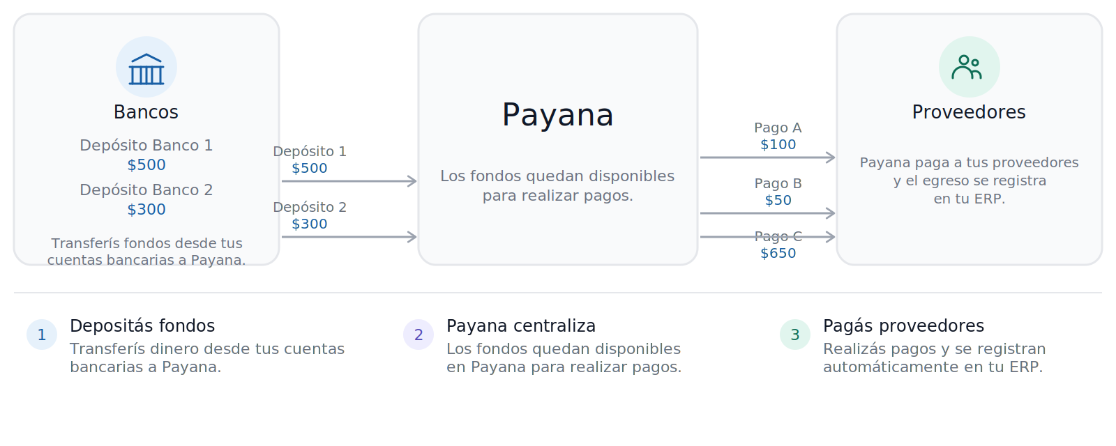 Flujo de fondos en Payana