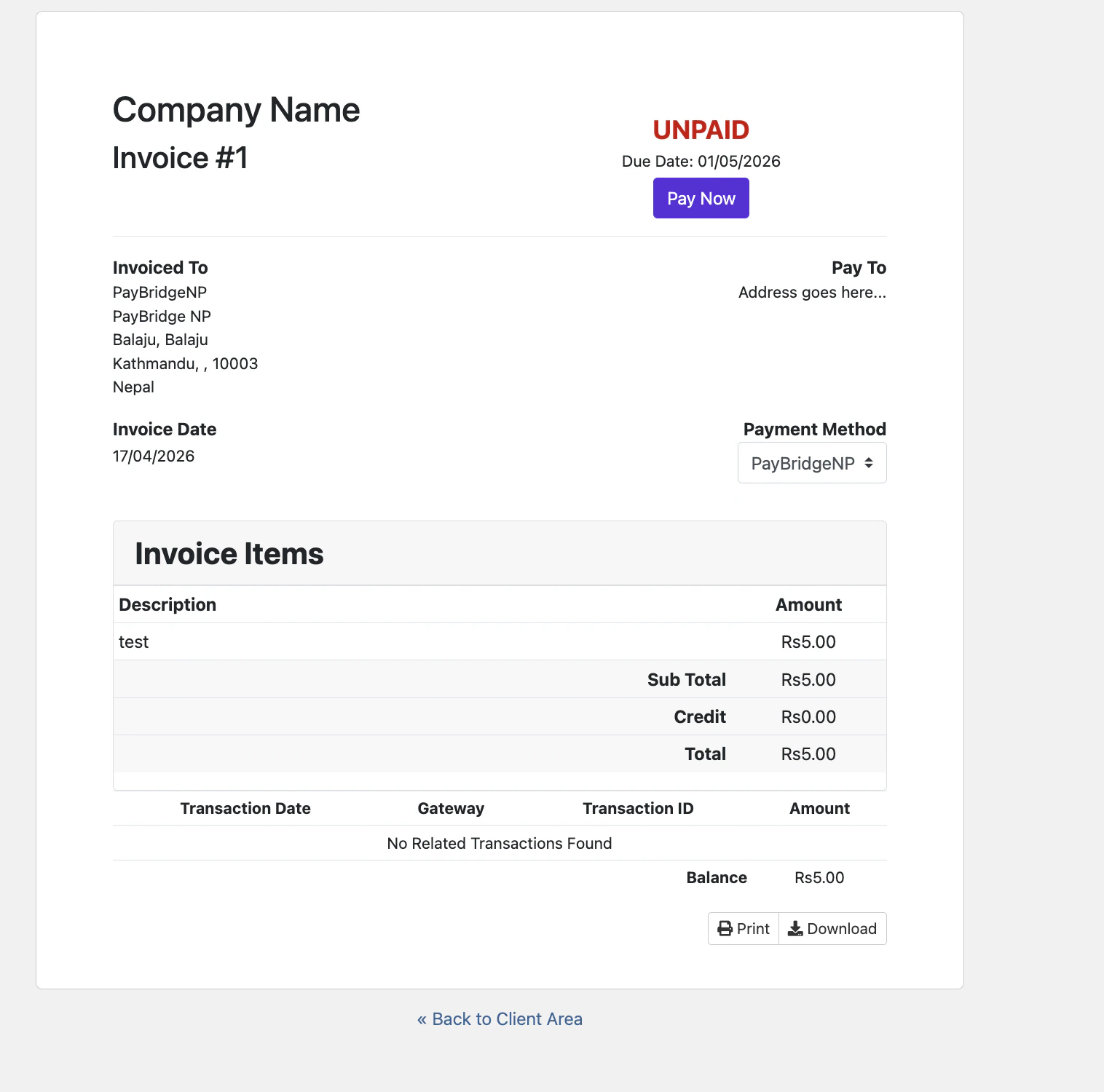 Client-area invoice with Pay Now button