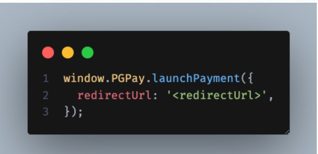 window.PGPay.launchPayment call