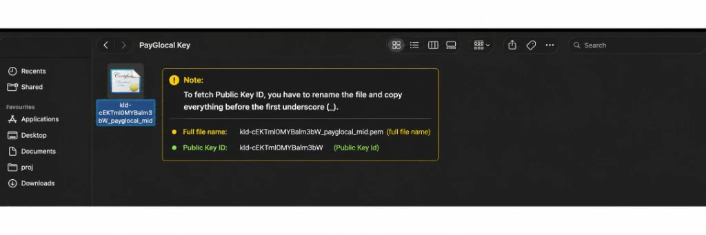 Public Key ID in the certificate filename