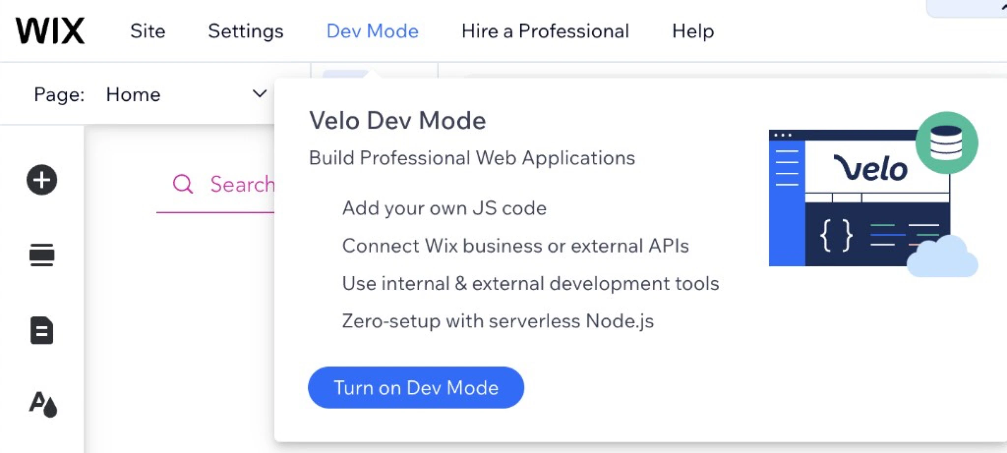 Wix Velo Dev Mode panel
