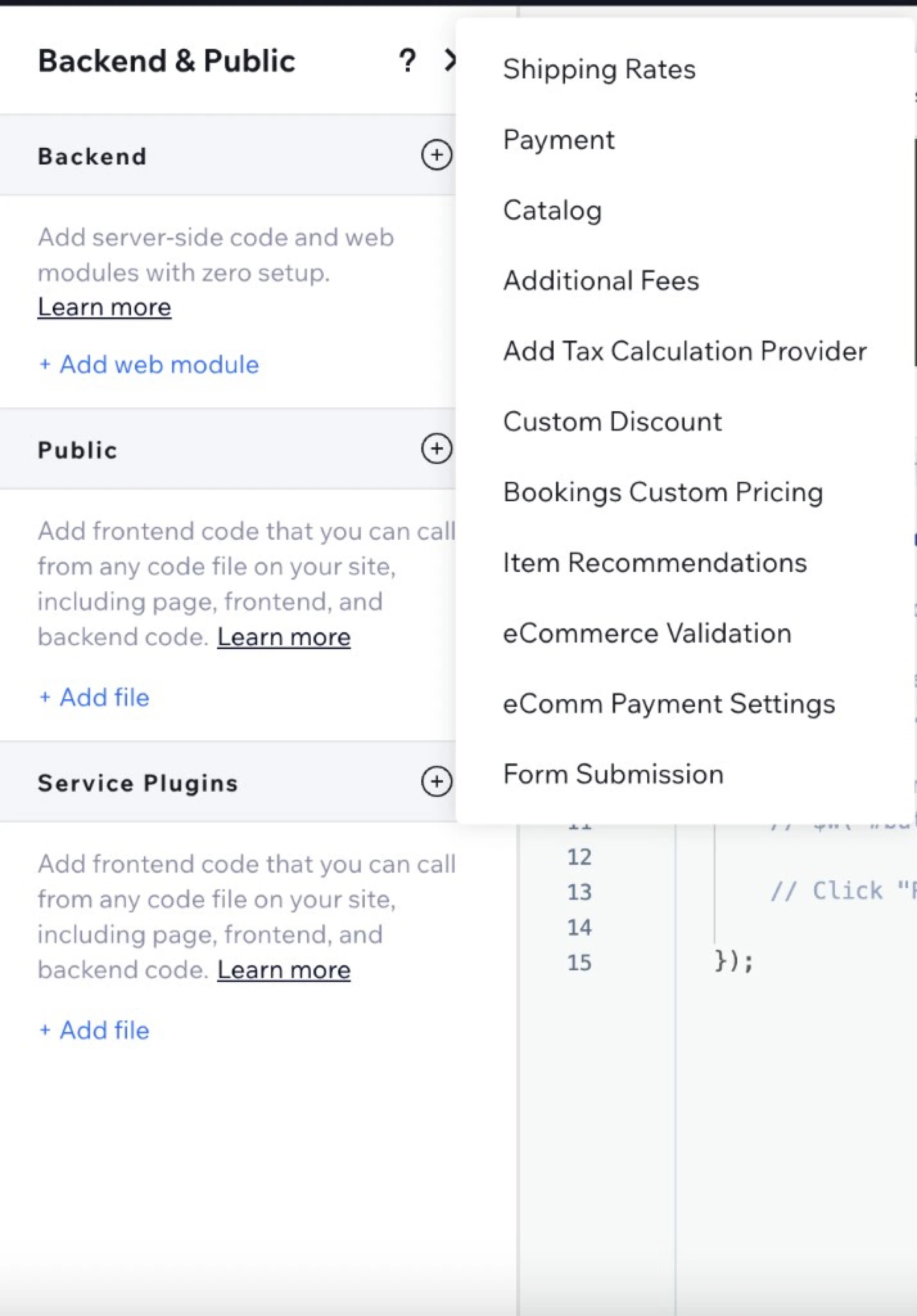 Service Plugins panel with Payment option