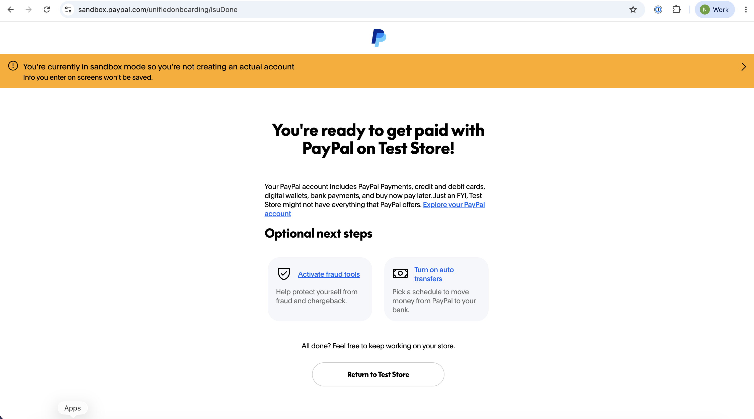 PayPal authorization page with Return to Store action