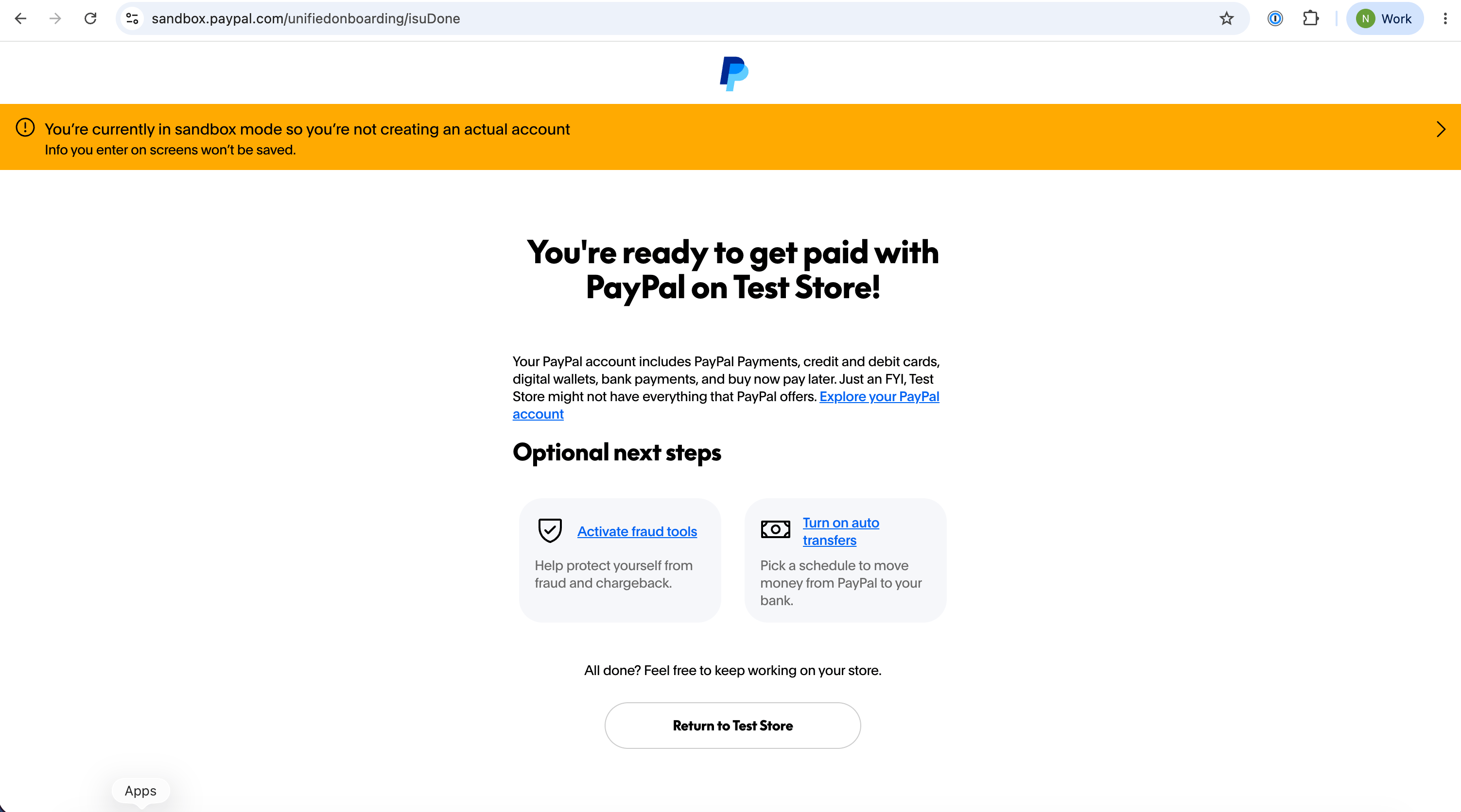 PayPal authorization page with Return to Store action