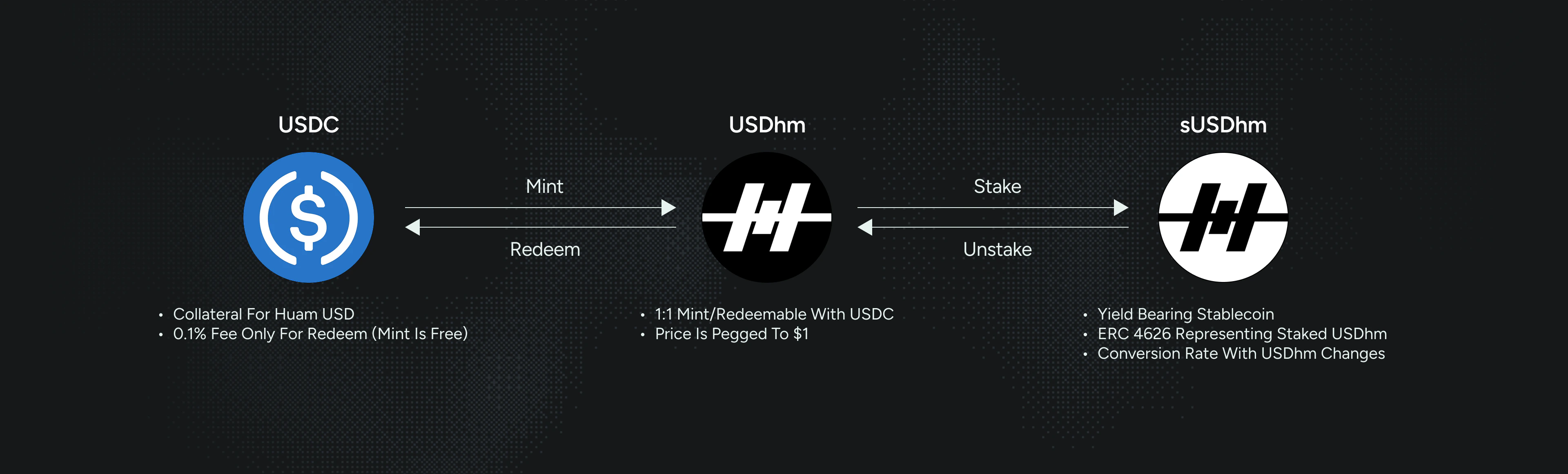 USDhm Dual Token System