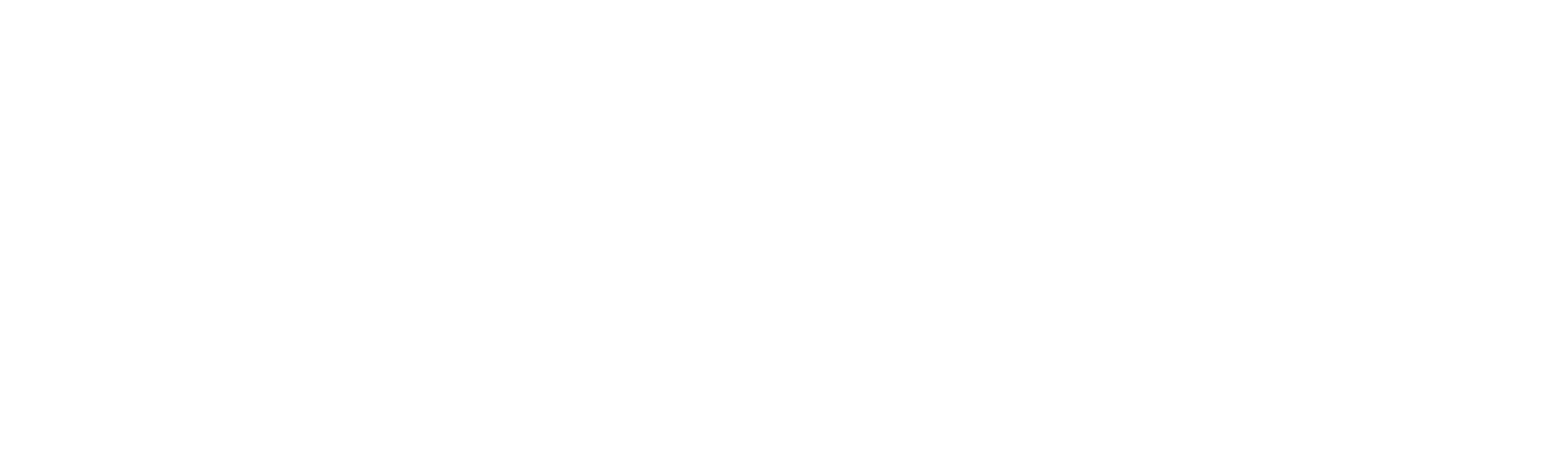 dark logo