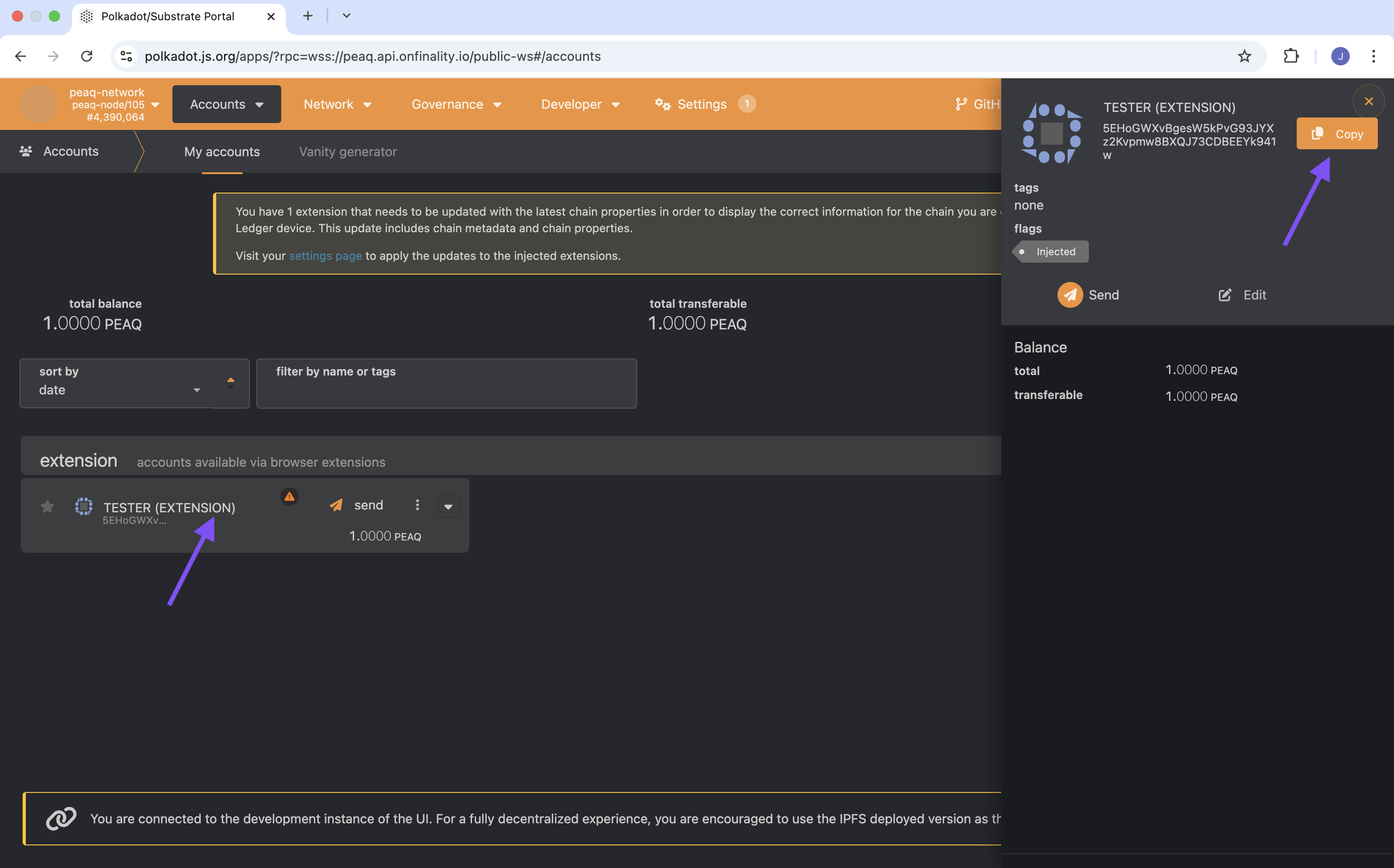 substrate-token-transfer-2