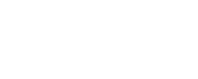 light logo