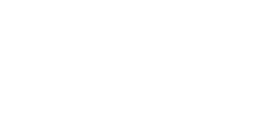 light logo