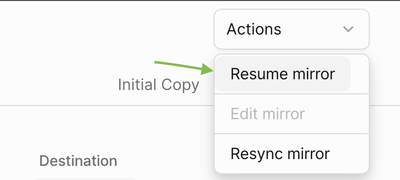 resumemirror