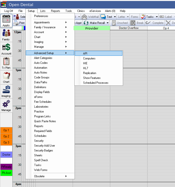 Open Dental with the Setup menu open and Advanced Setup, then API, highlighted
