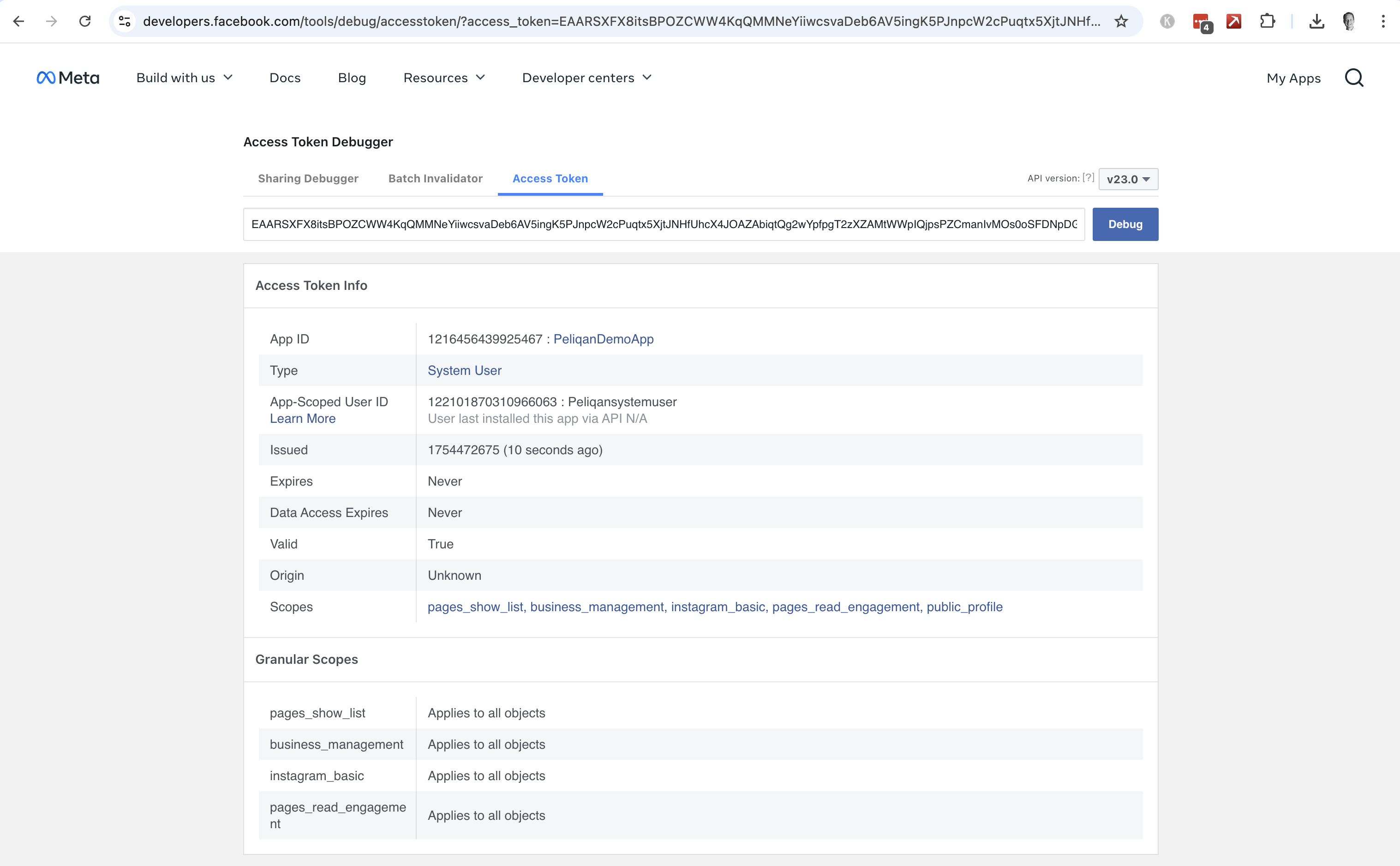 Facebook token debug tool