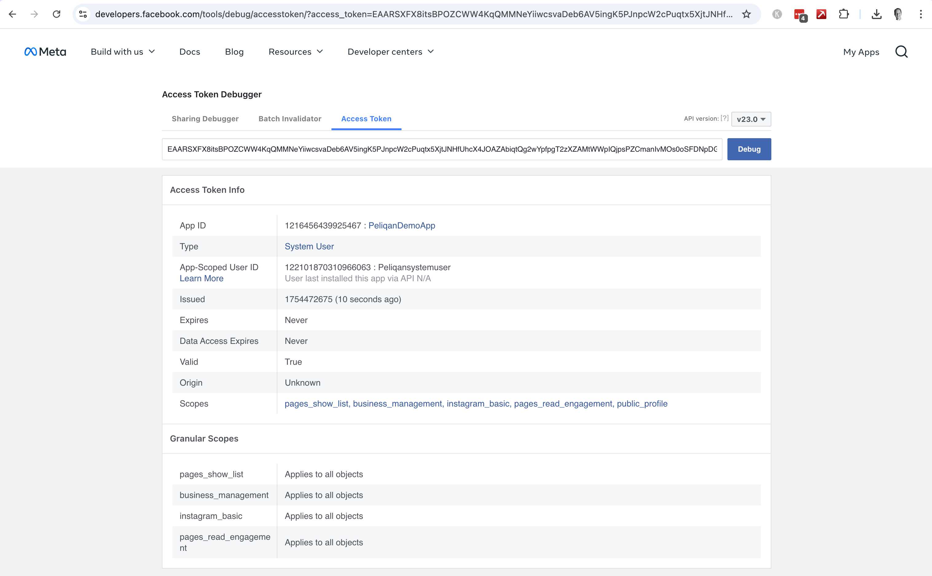 Facebook token debug tool