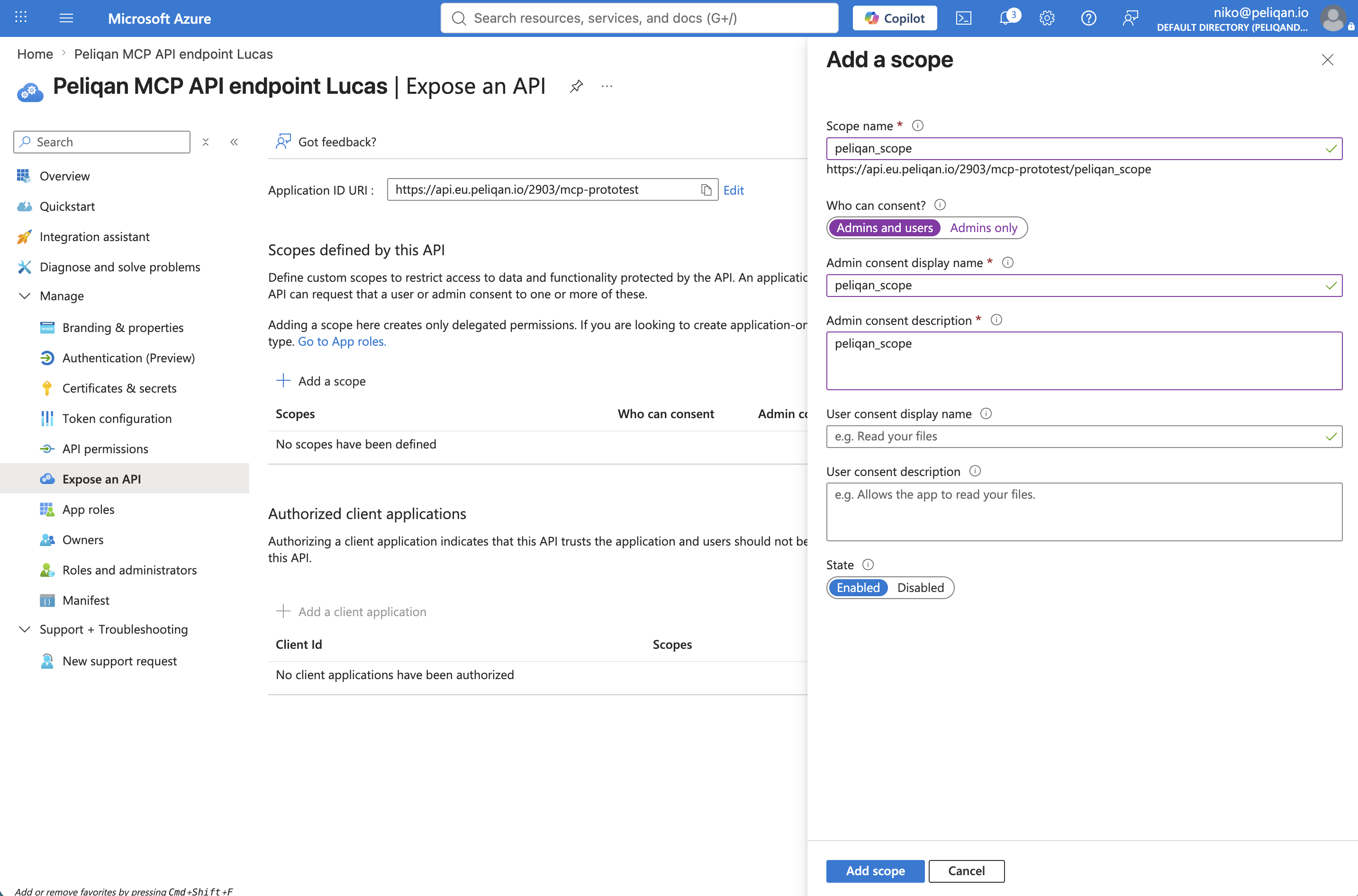 Azure Expose an API, add a scope