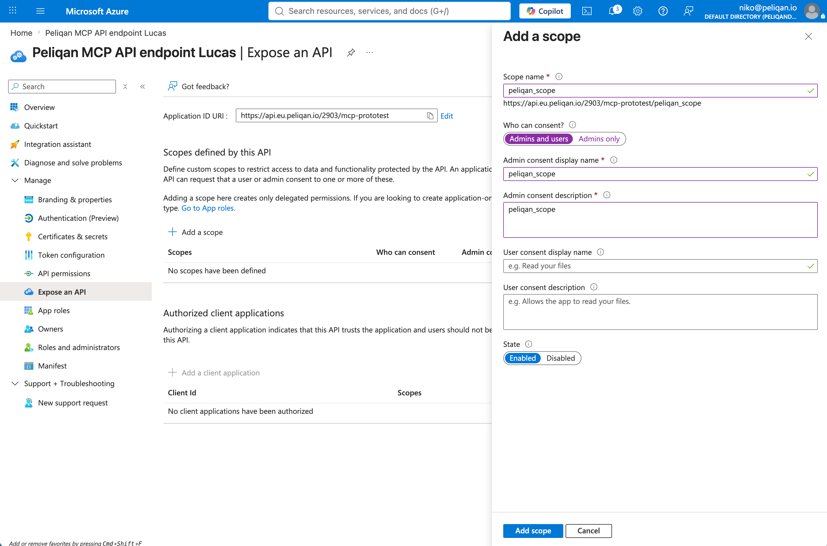 Azure Expose an API, add a scope