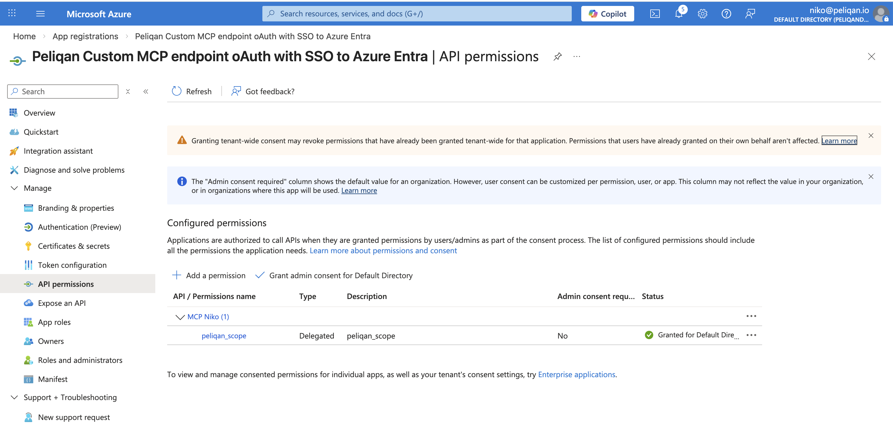 Azure API permissions with the MCP Server app scope added
