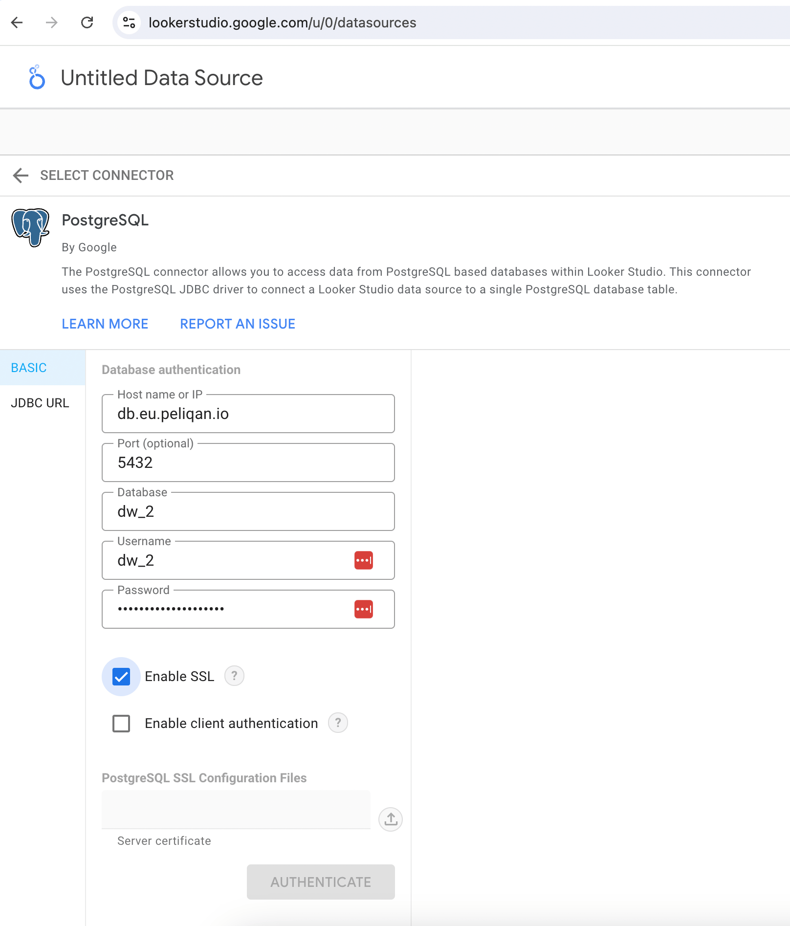 Looker Studio connect Postgres DWH.png