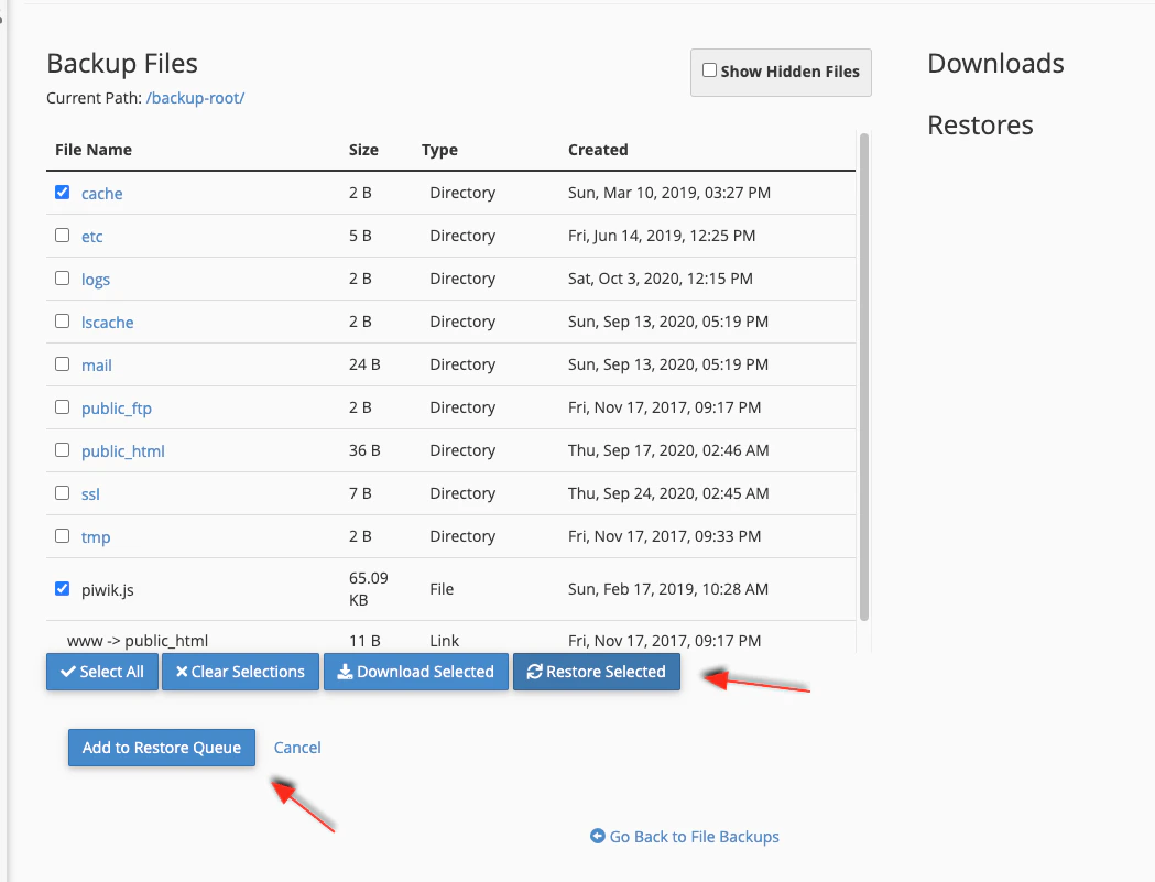 JetBackup file selection with Restore Selected controls