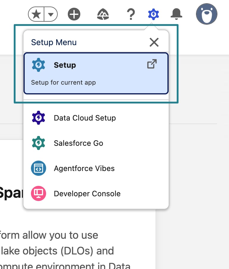 Меню под значком шестерёнки в Salesforce с выделенным пунктом Setup