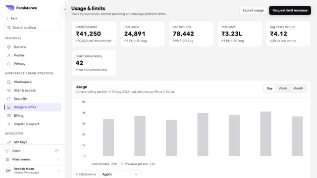 Persistence Usage and limits dashboard with credits, calls, minutes, cost, concurrency, and usage chart