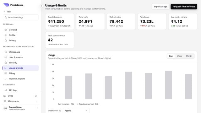 Persistence Usage and limits dashboard with credits, calls, minutes, cost, concurrency, and usage chart
