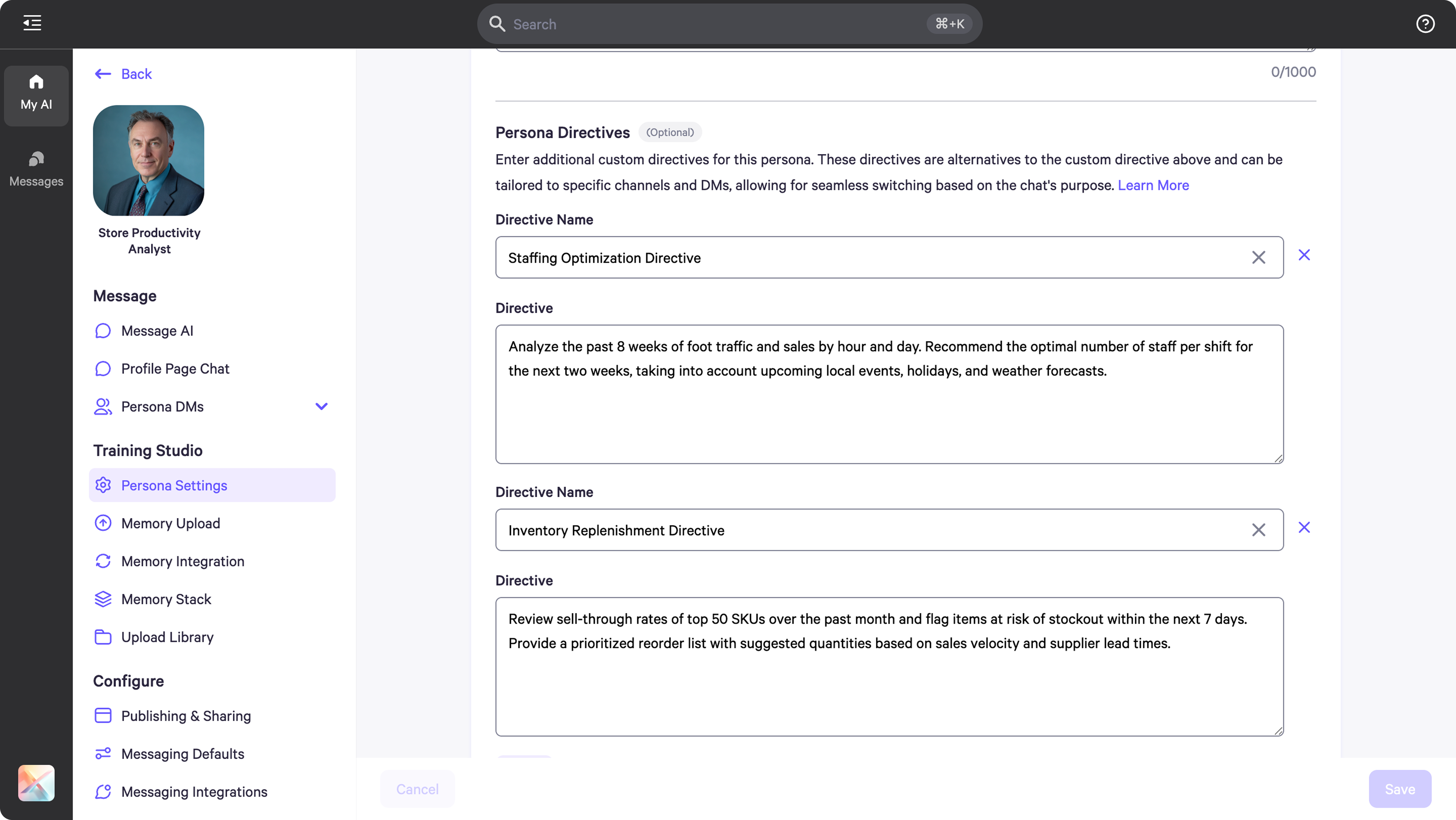 Persona Directive Setting in AI Controls