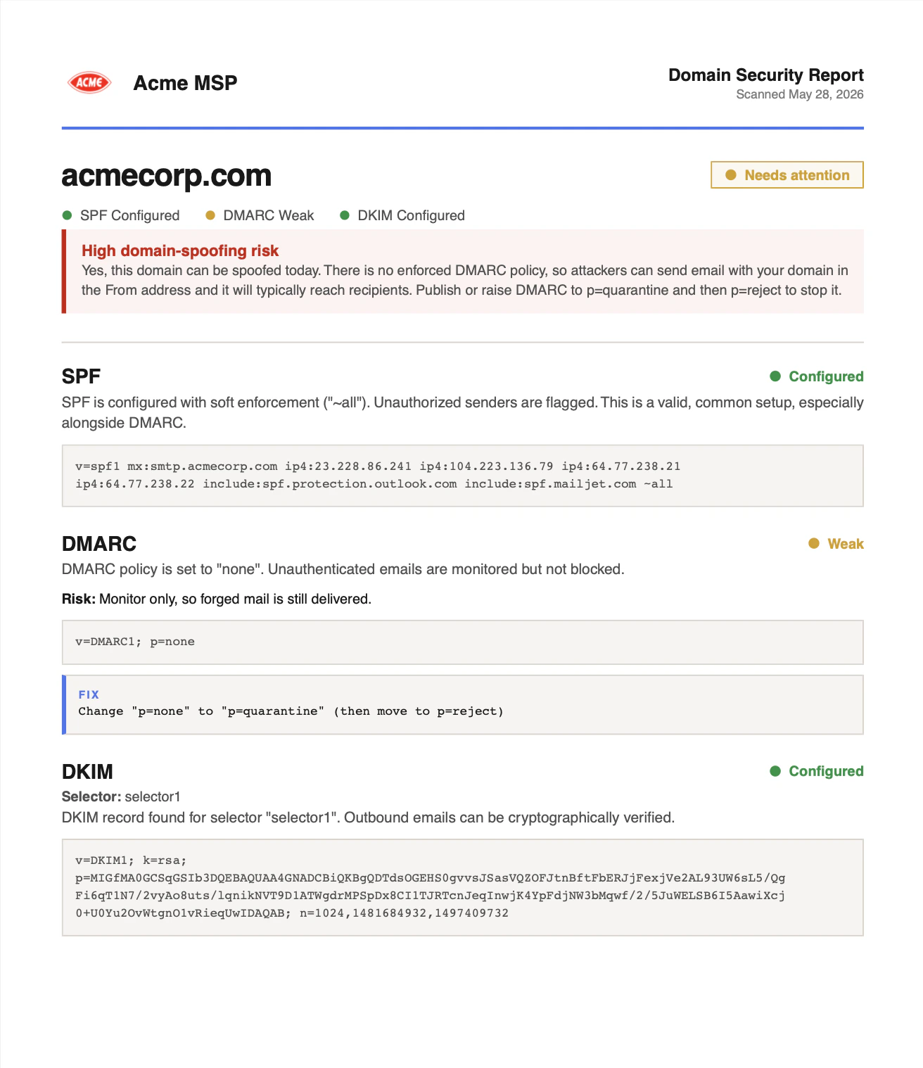 A single domain's page in the Domain Security Report
