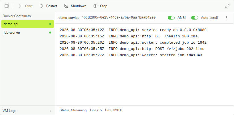 CVM log drawer with demo-api selected under Docker Containers and its application output streaming