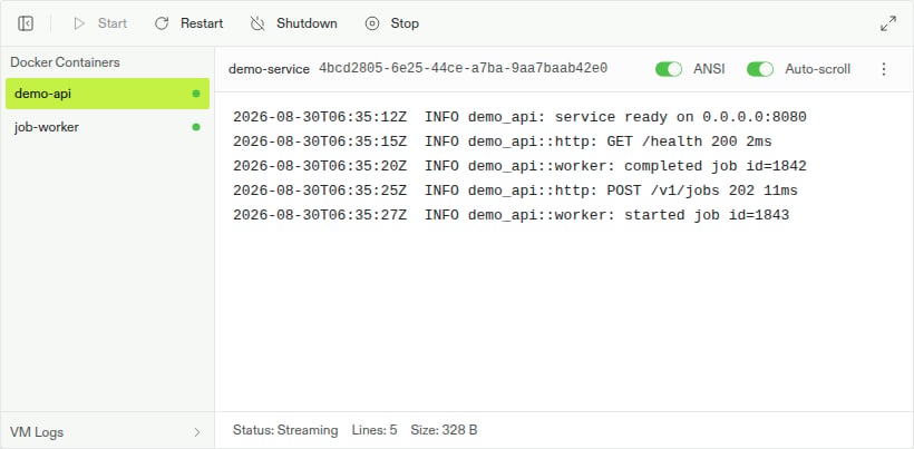 CVM log drawer with demo-api selected under Docker Containers and its application output streaming