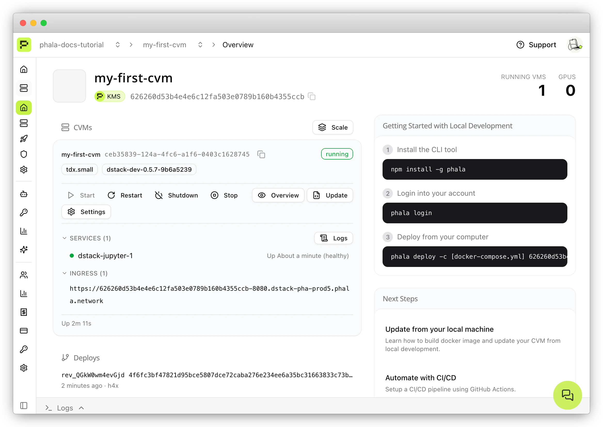 CVM Home page showing INGRESS section expanded with HTTPS endpoint URL