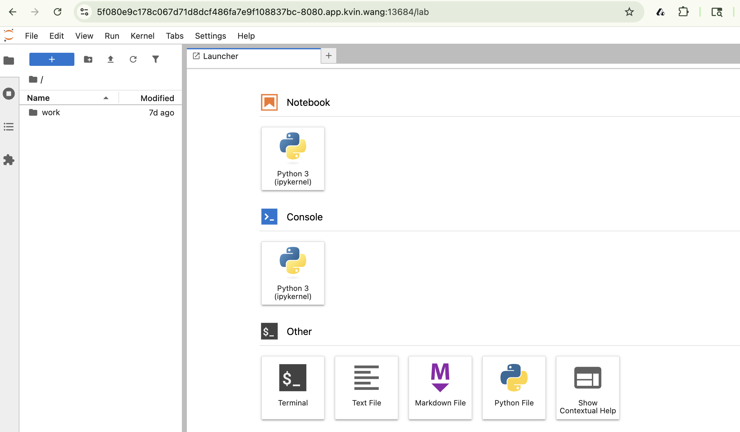 jupyter notebook web page
