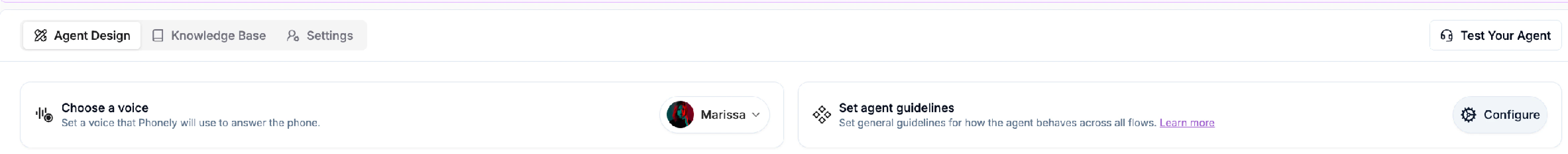 Acessing Agent Guidelines