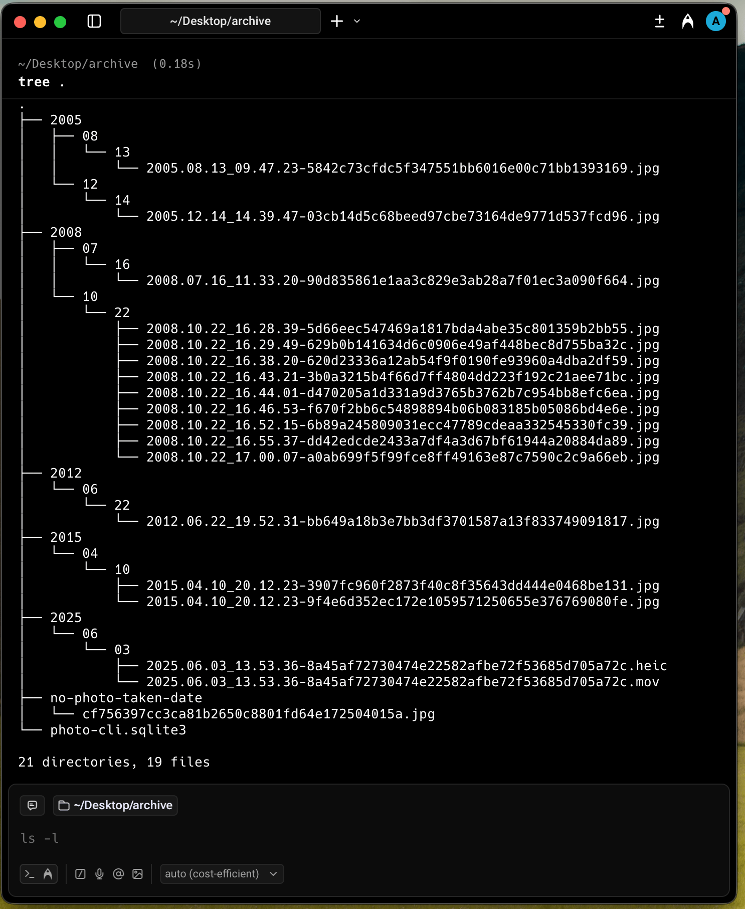 tree command output of archive folder from container