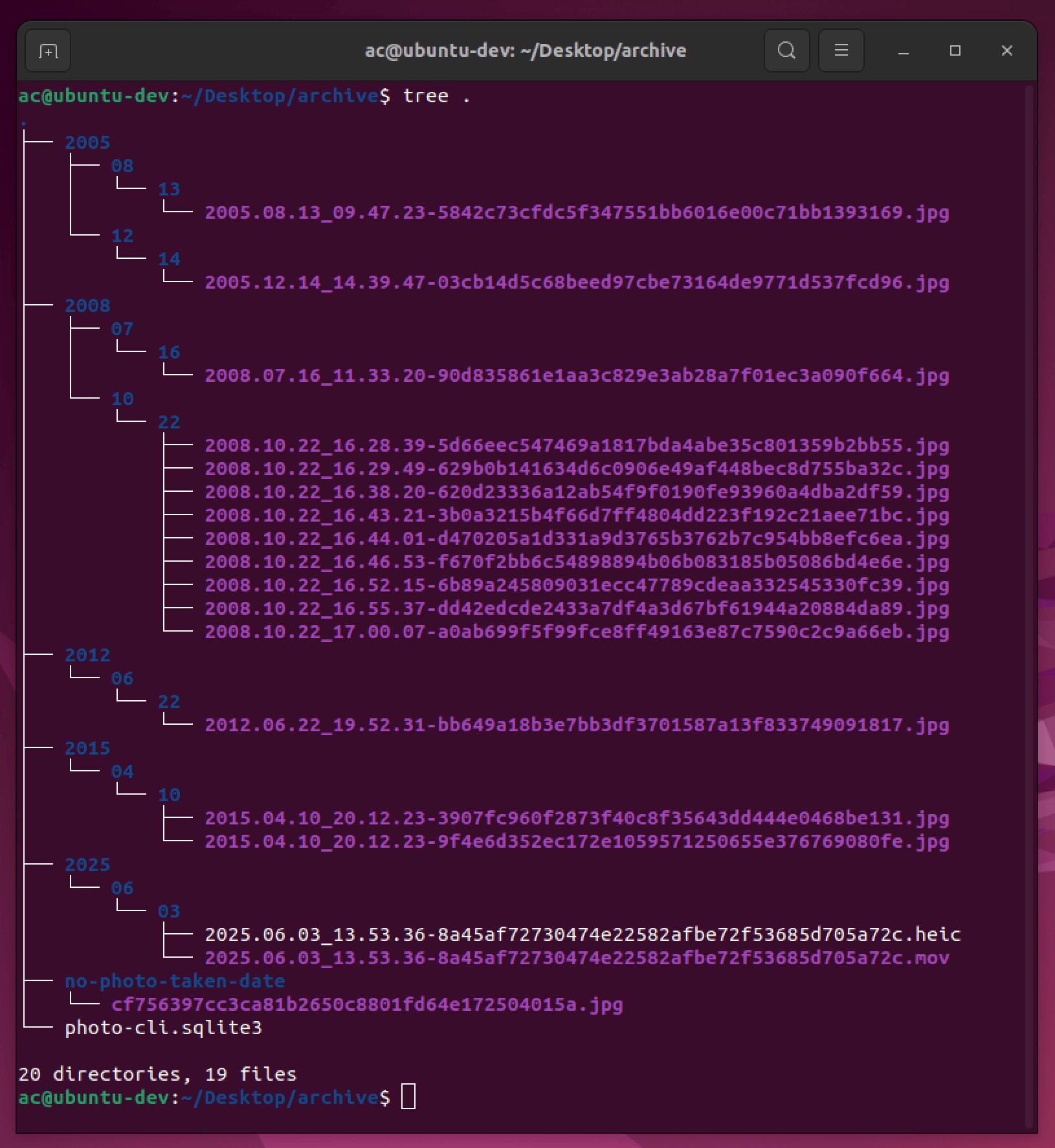 tree command output of archive folder on Linux
