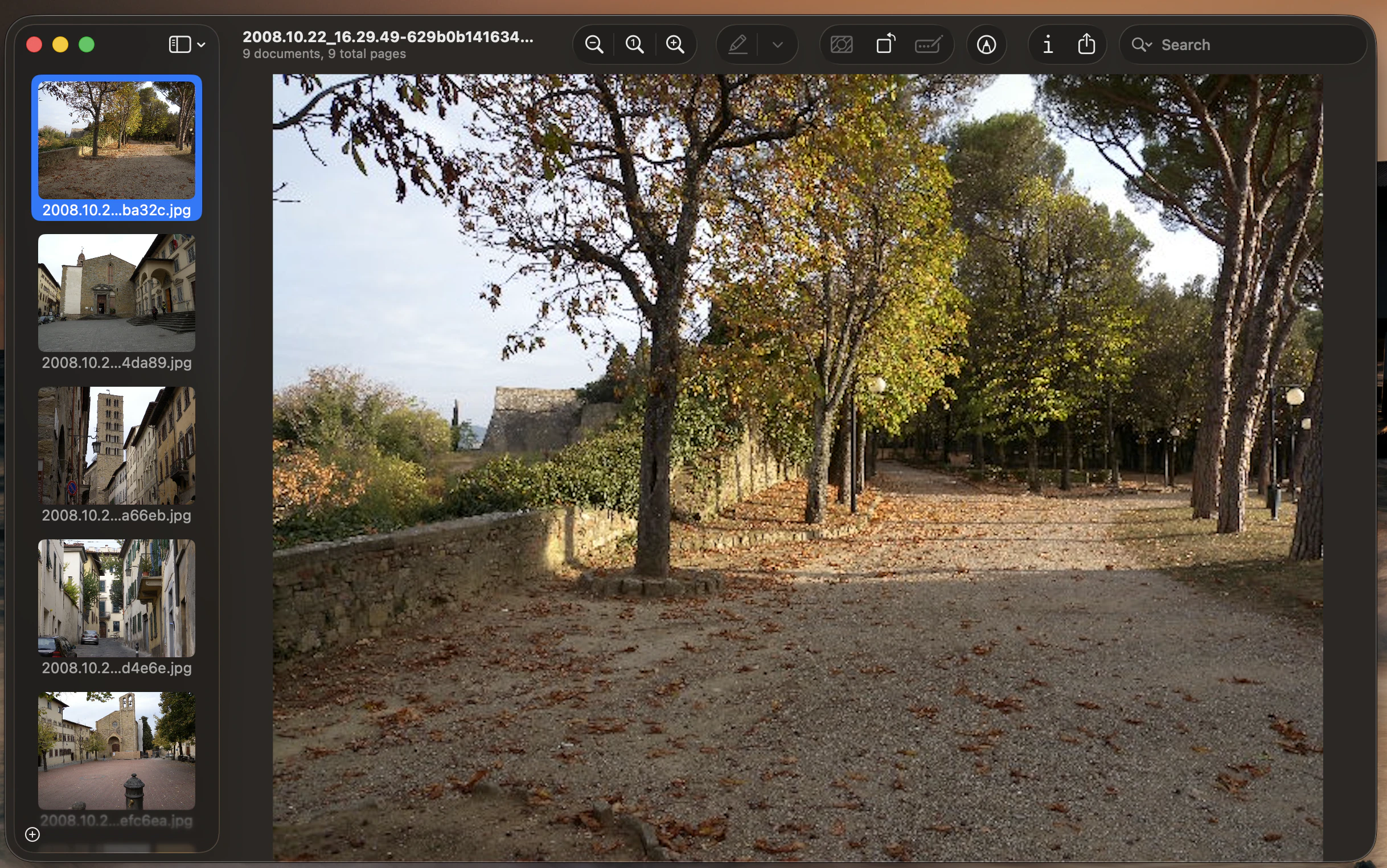 Photos from October 2008 opened in macOS Preview by photo-cli list