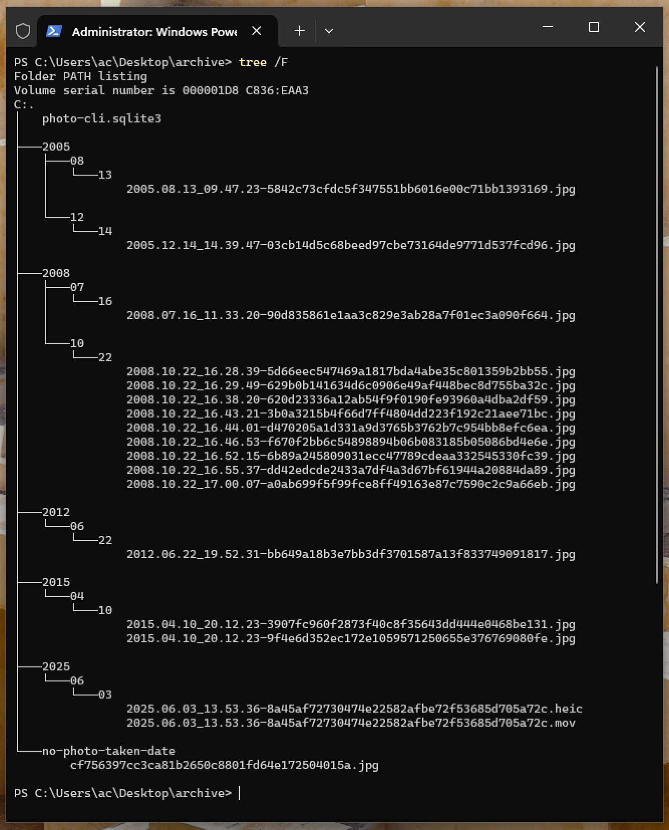 tree command output of archive folder on Windows