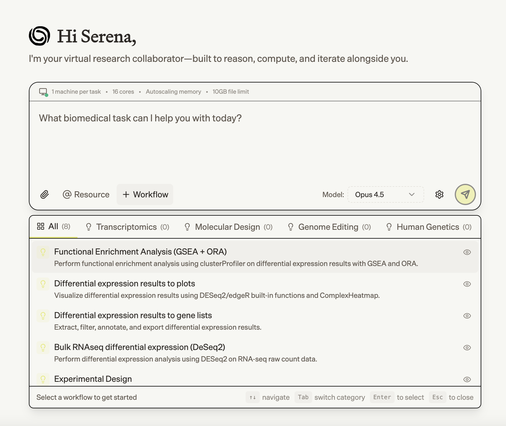 Workflow templates with + Workflow button in chat input
