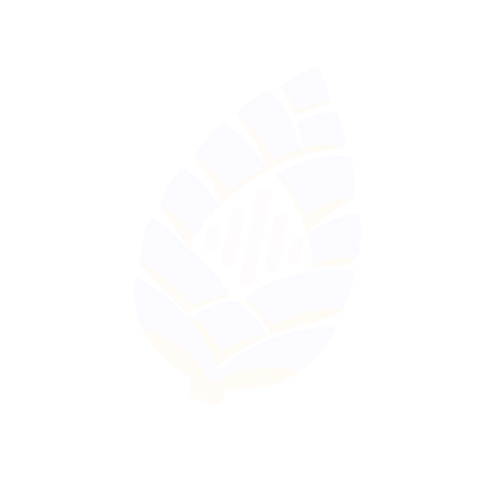light logo