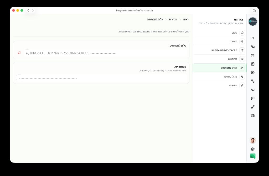 Developer Tools page in Pingmee Settings