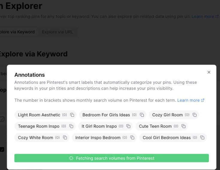 Pin Explorer Annotations modal with Pinterest labels and estimated volume values
