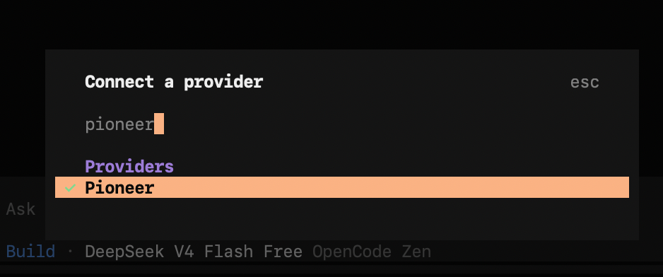 Pioneer Provider
