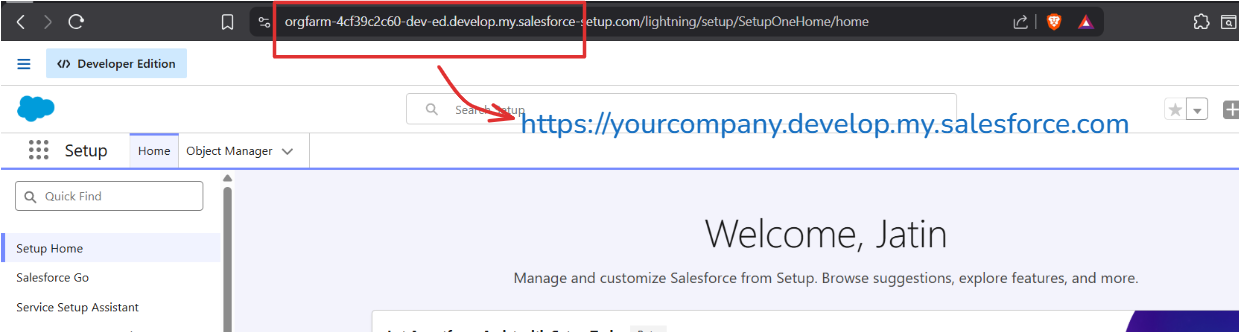 Browser address bar highlighting the Salesforce instance URL