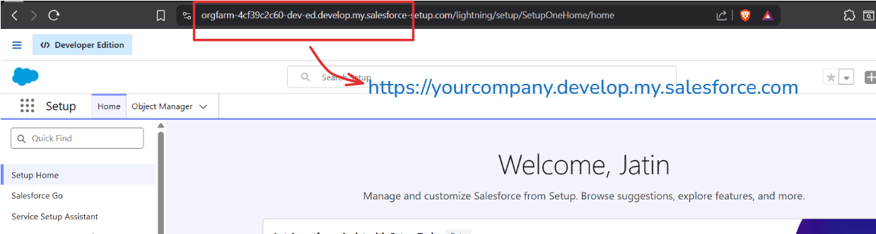 Browser address bar highlighting the Salesforce instance URL