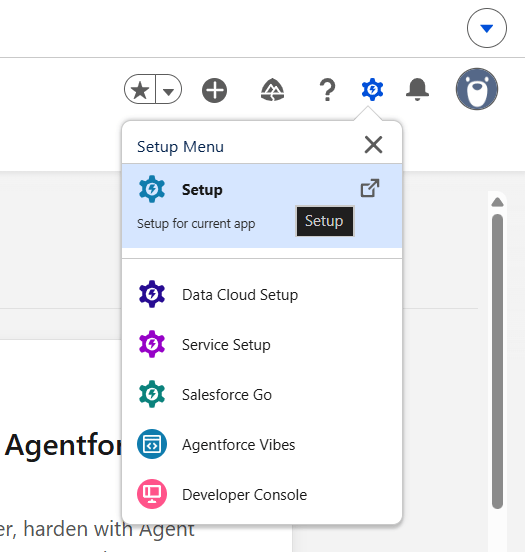 Salesforce Setup menu
