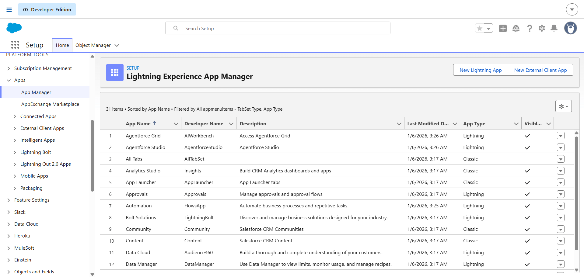 Lightning Experience App Manager with New External Client App button