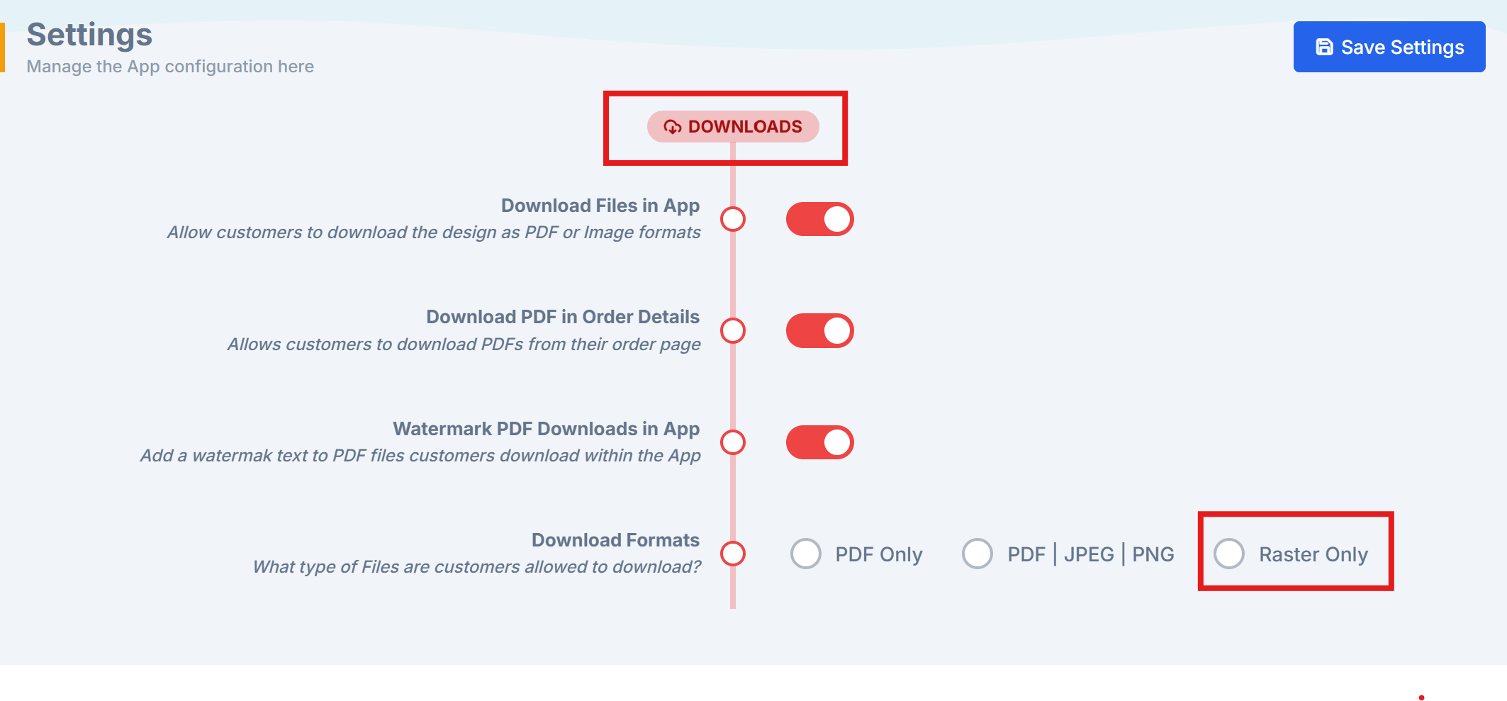 The Downloads section of admin settings with the raster-only option enabled
